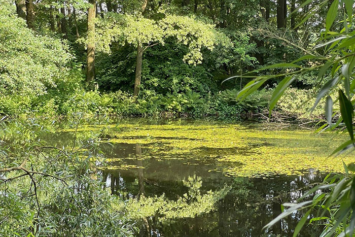 Krumhermsdorfer Teich