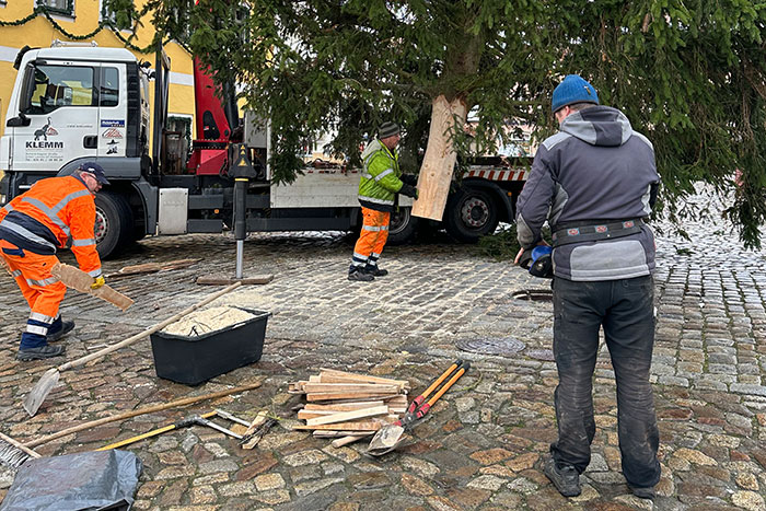 Einpassen des Baumes