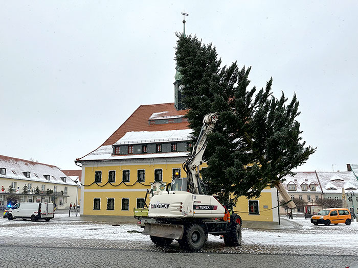 Aufstellen des Weihnachtsbaumes Aufstellen des Weihnachtsbaumes