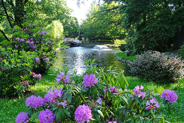 Arthur-Richter-Park Arthur-Richter-Park